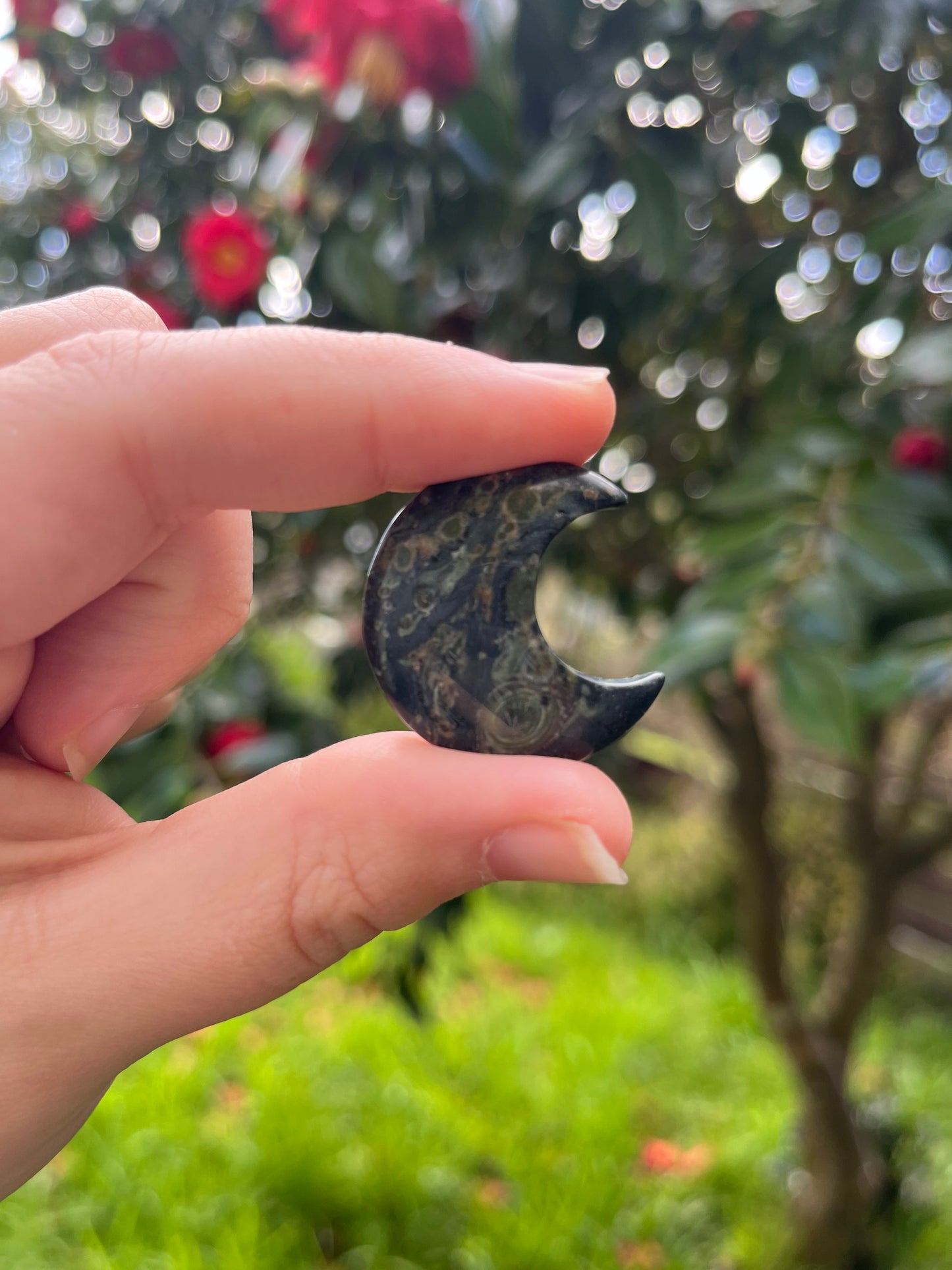 Kambaba Jasper Moon Carving