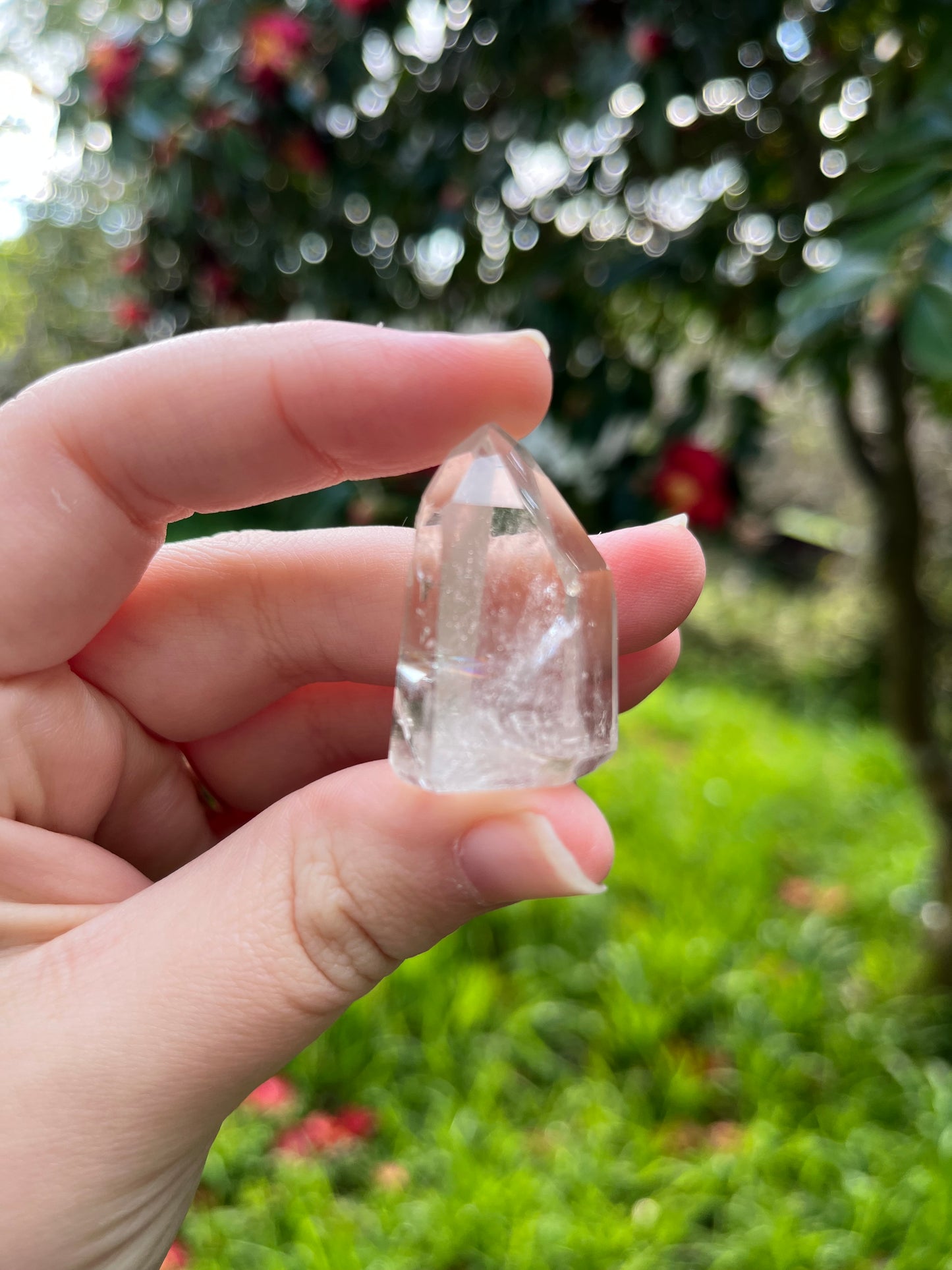 Quartz Mini Point #2