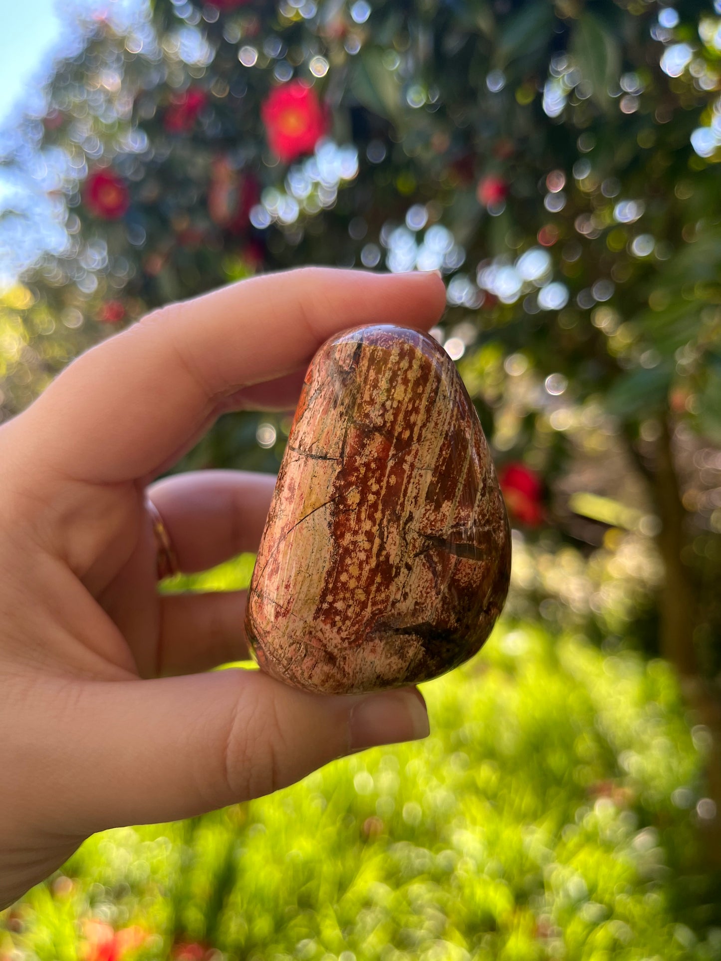 Rainbow Jasper Freeform