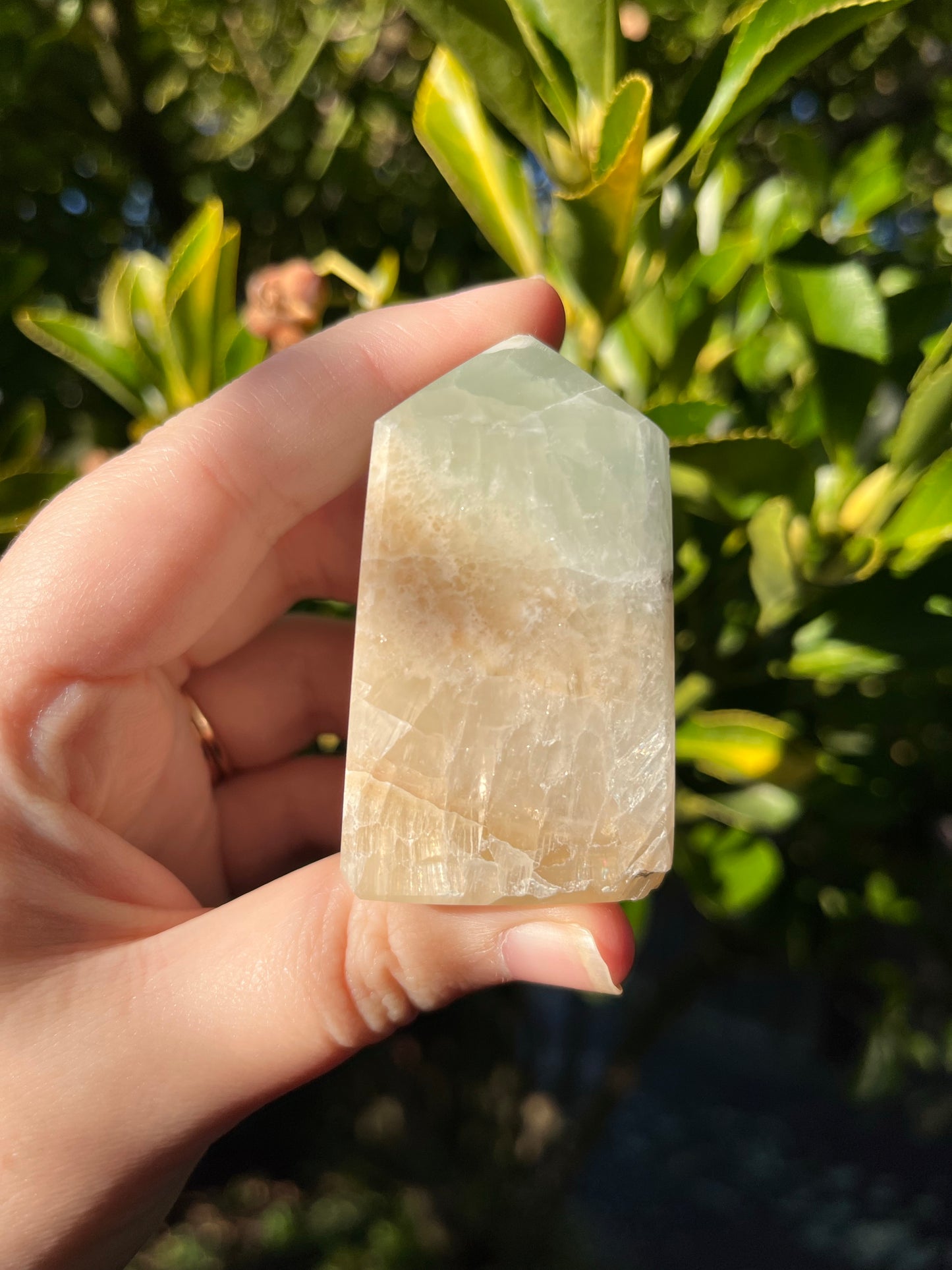 Caribbean Calcite Tower #4