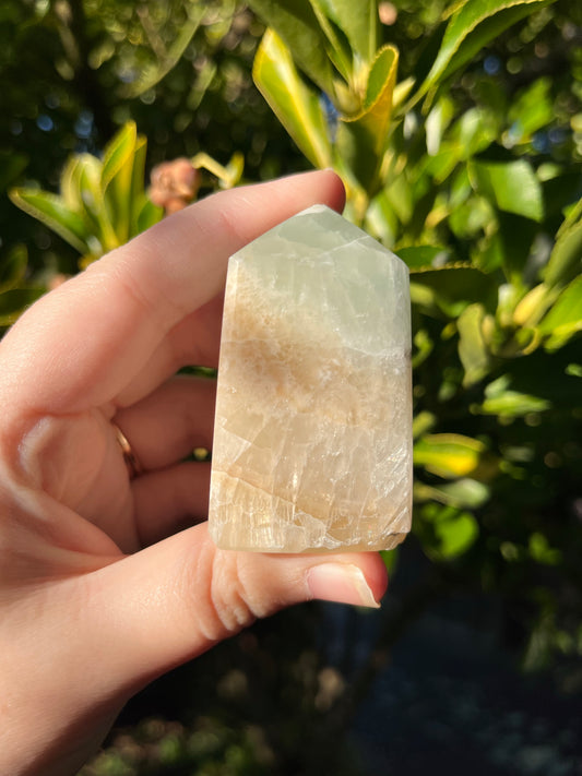 Caribbean Calcite Tower #4