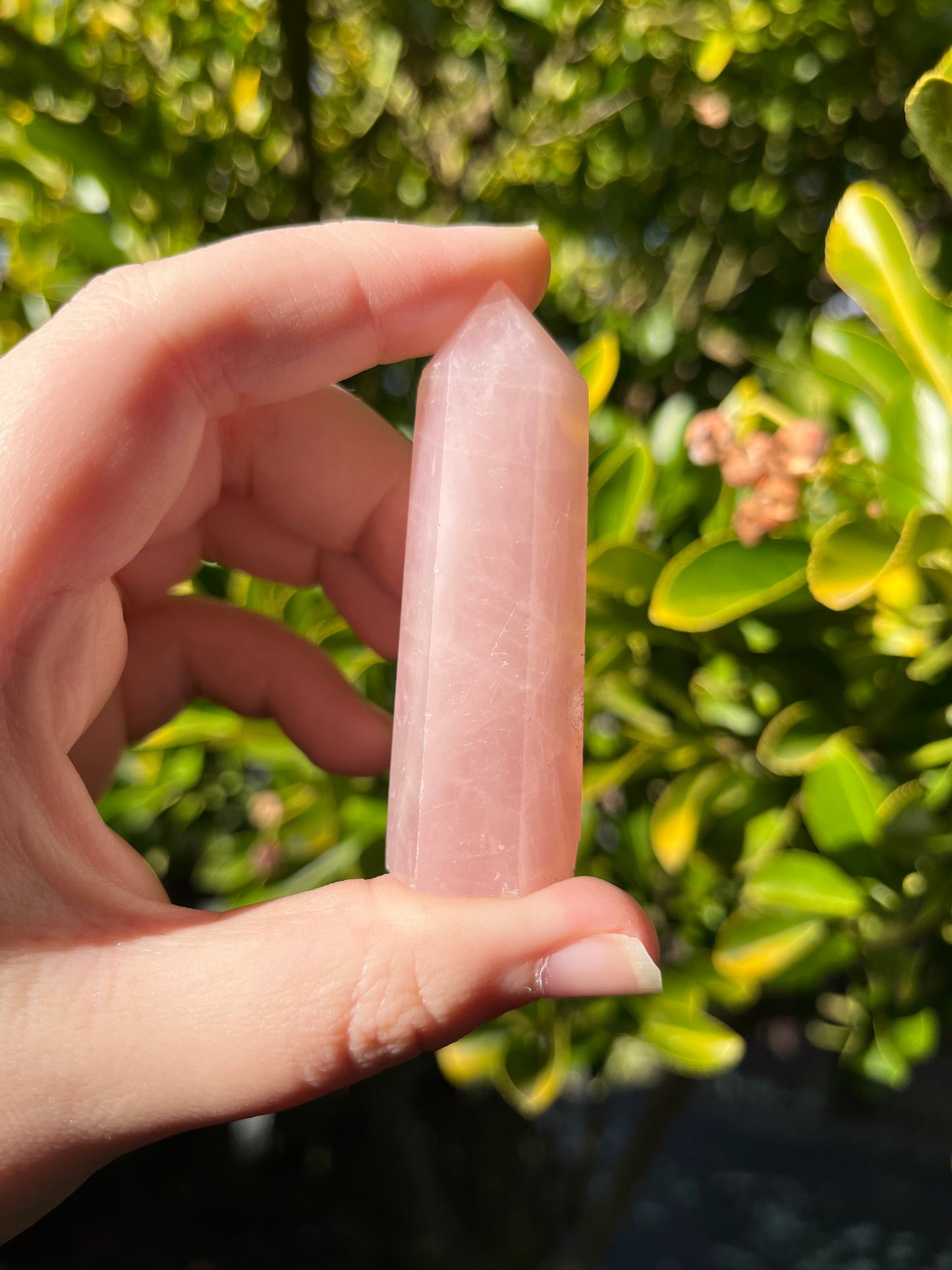 Rose Quartz Point