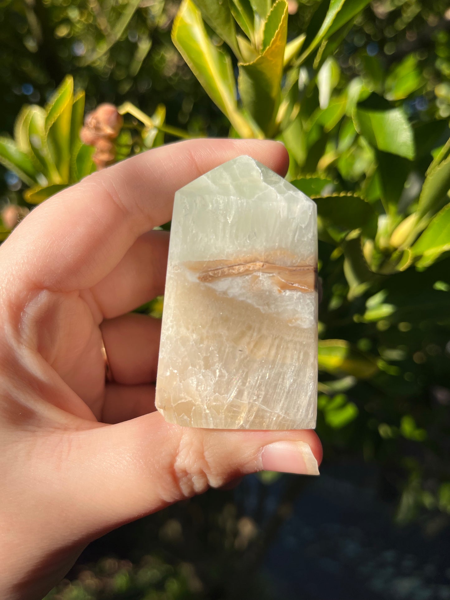 Caribbean Calcite Tower #4