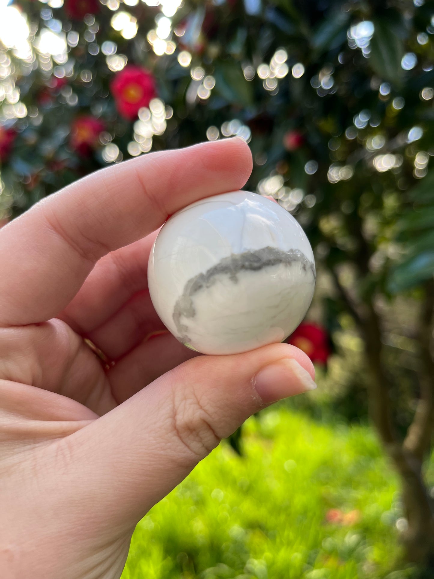 Howlite Sphere