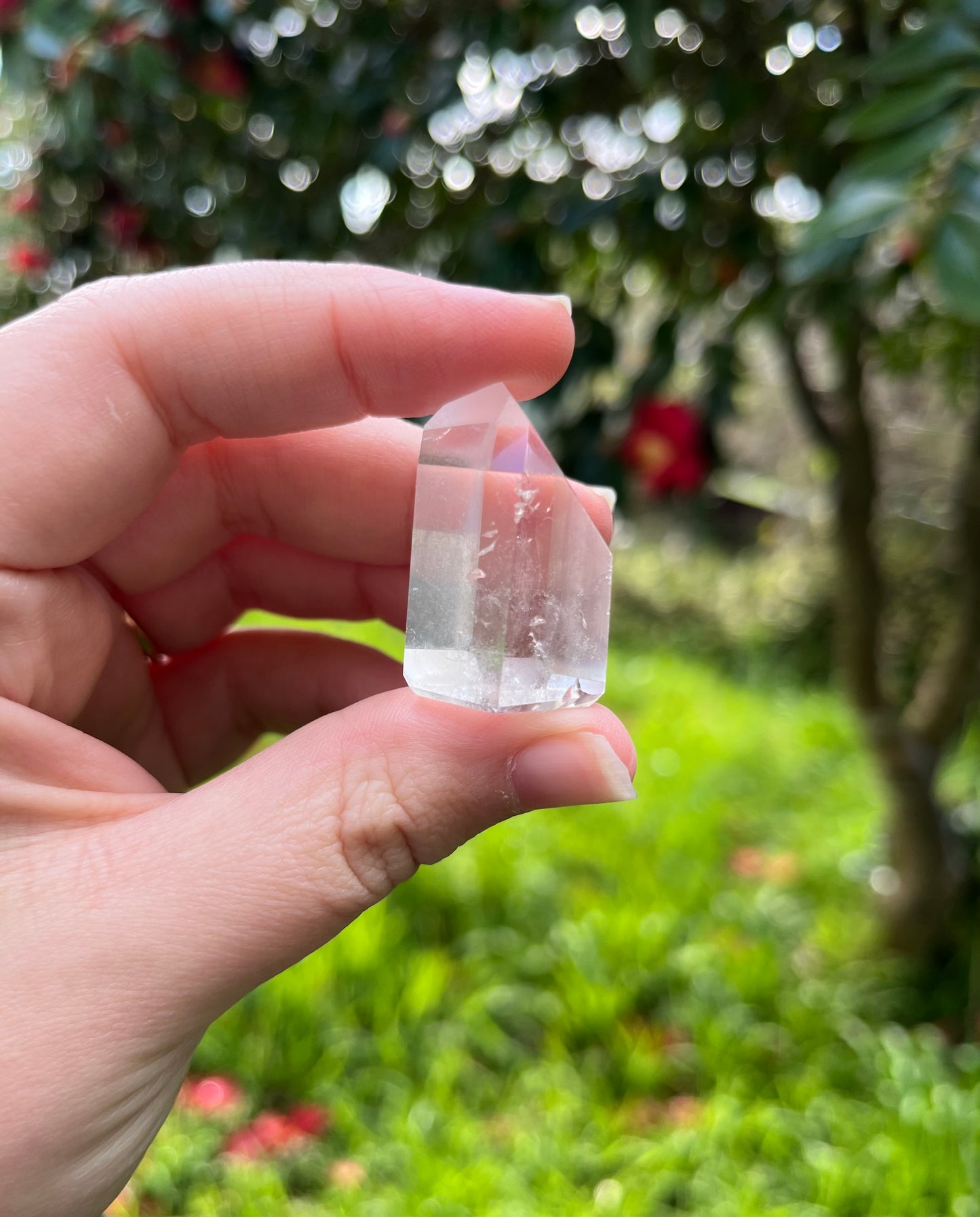 Quartz Mini Point #1