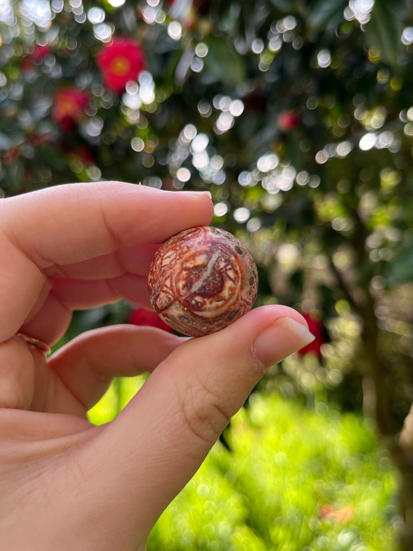 Leopardskin Jasper Sphere