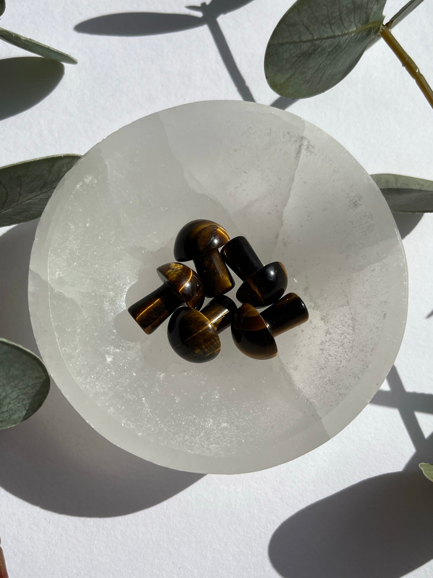 Tigers Eye Mini Mushroom
