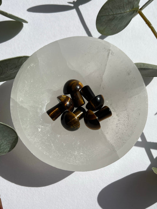 Tigers Eye Mini Mushroom