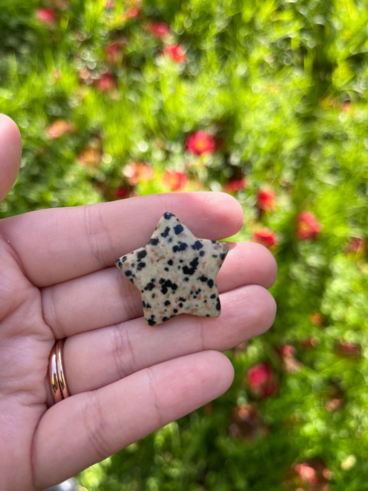 Dalmatian Jasper Star