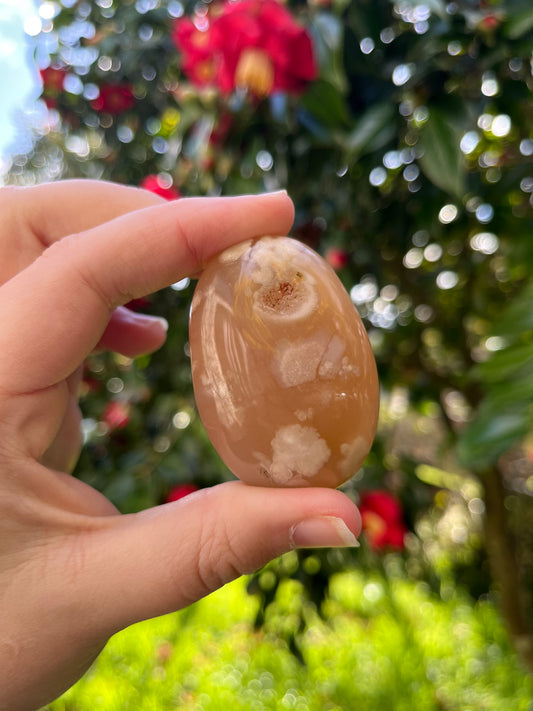 Flower Agate Palm Stone #1
