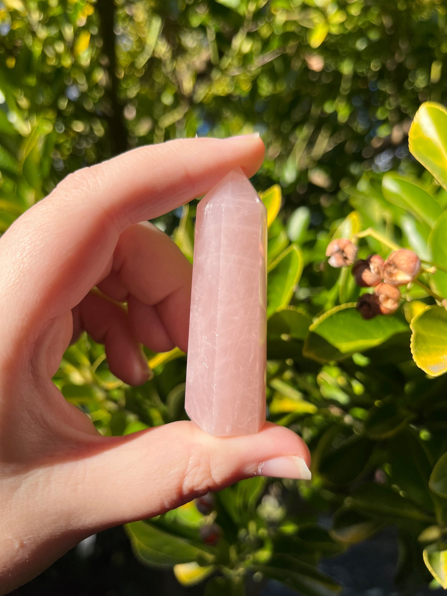 Rose Quartz Point