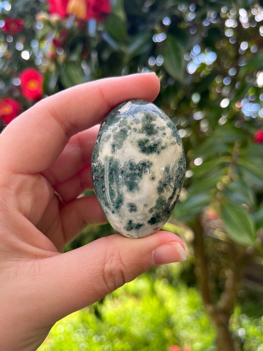 Moss Agate Crystal Palm Stone