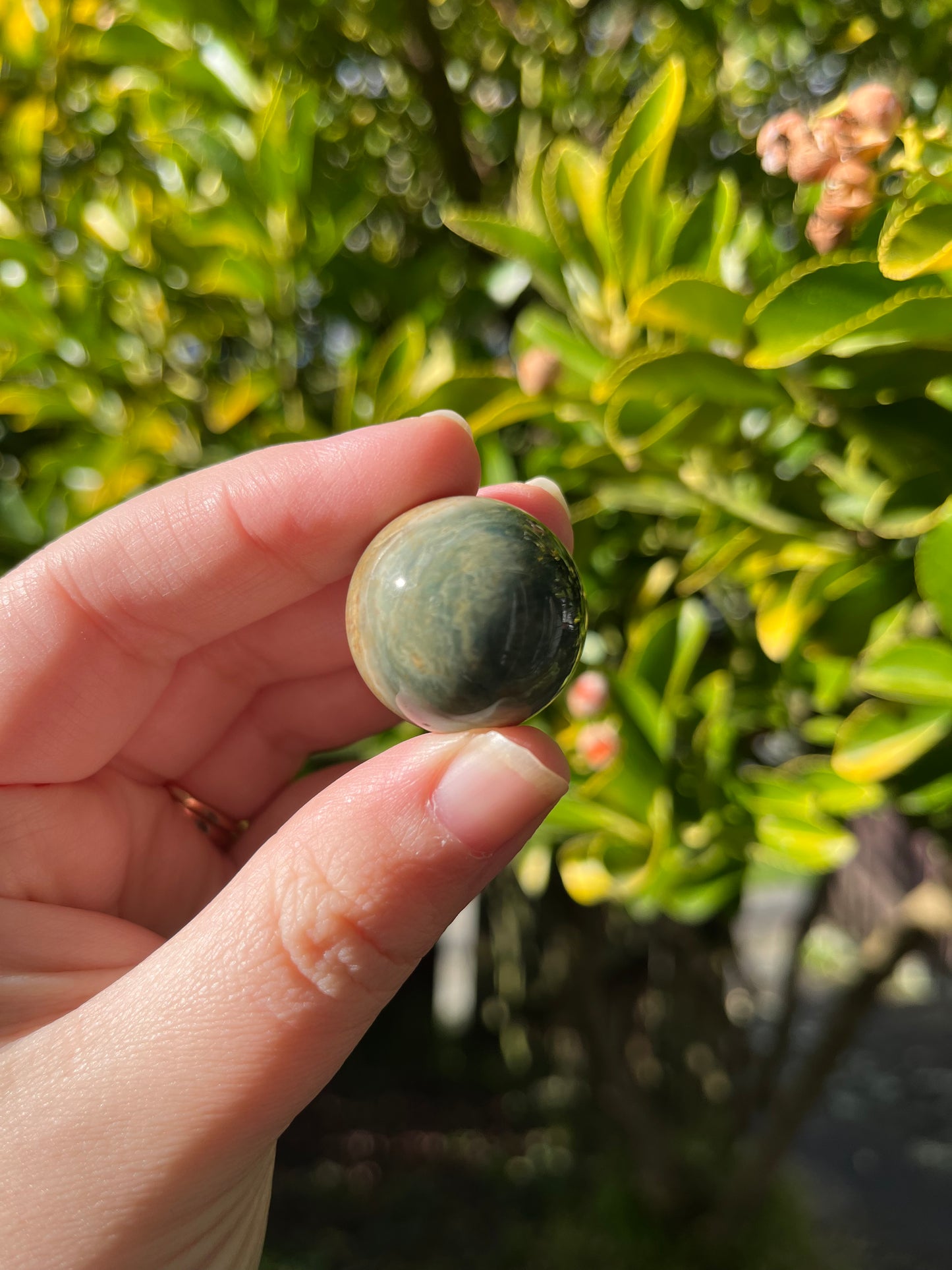 Ocean Jasper Sphere #2