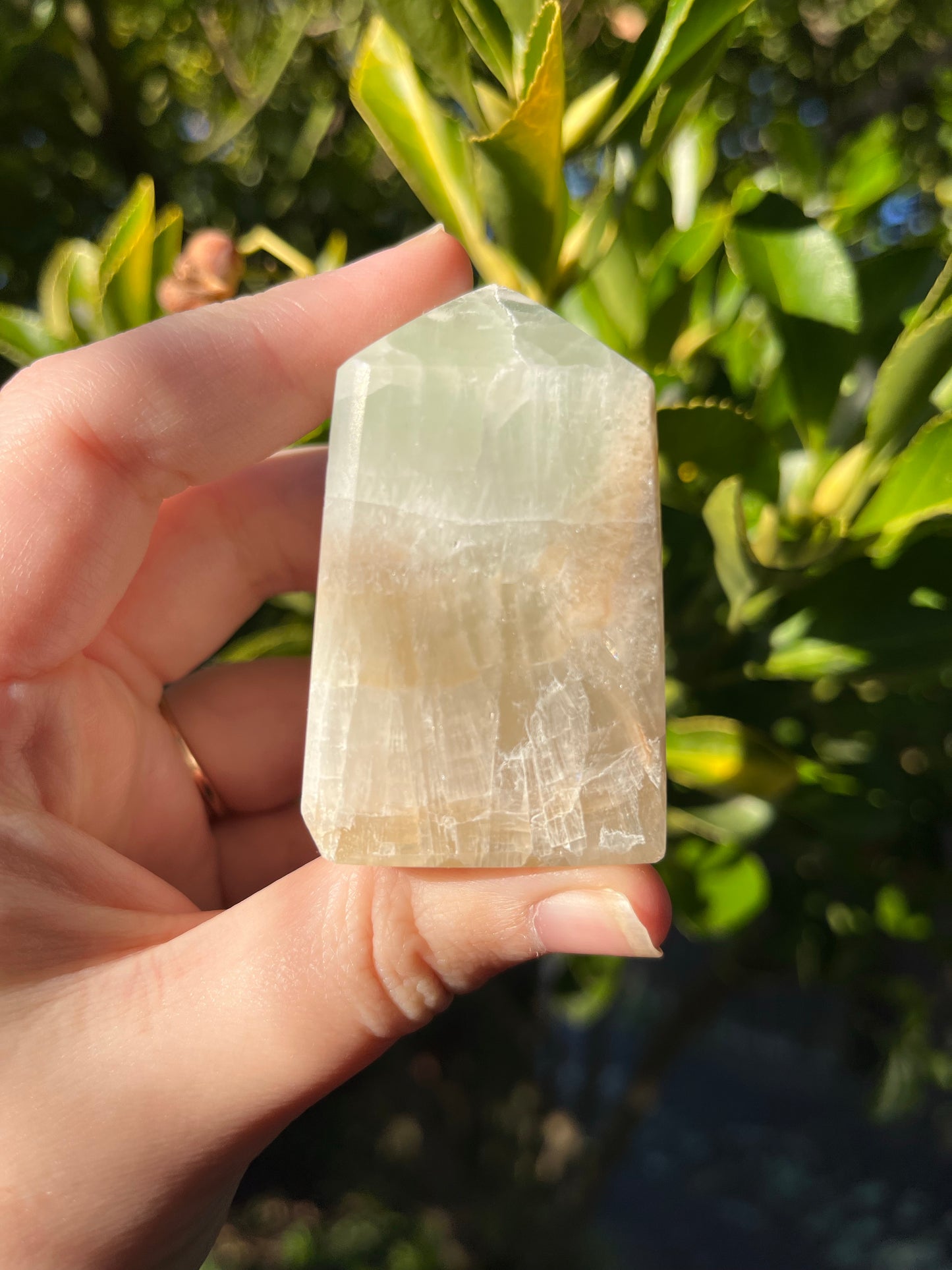 Caribbean Calcite Tower #4