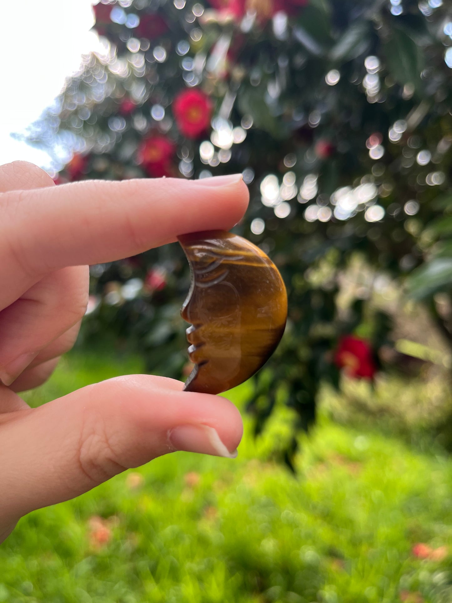 Tigers Eye Moon Carving