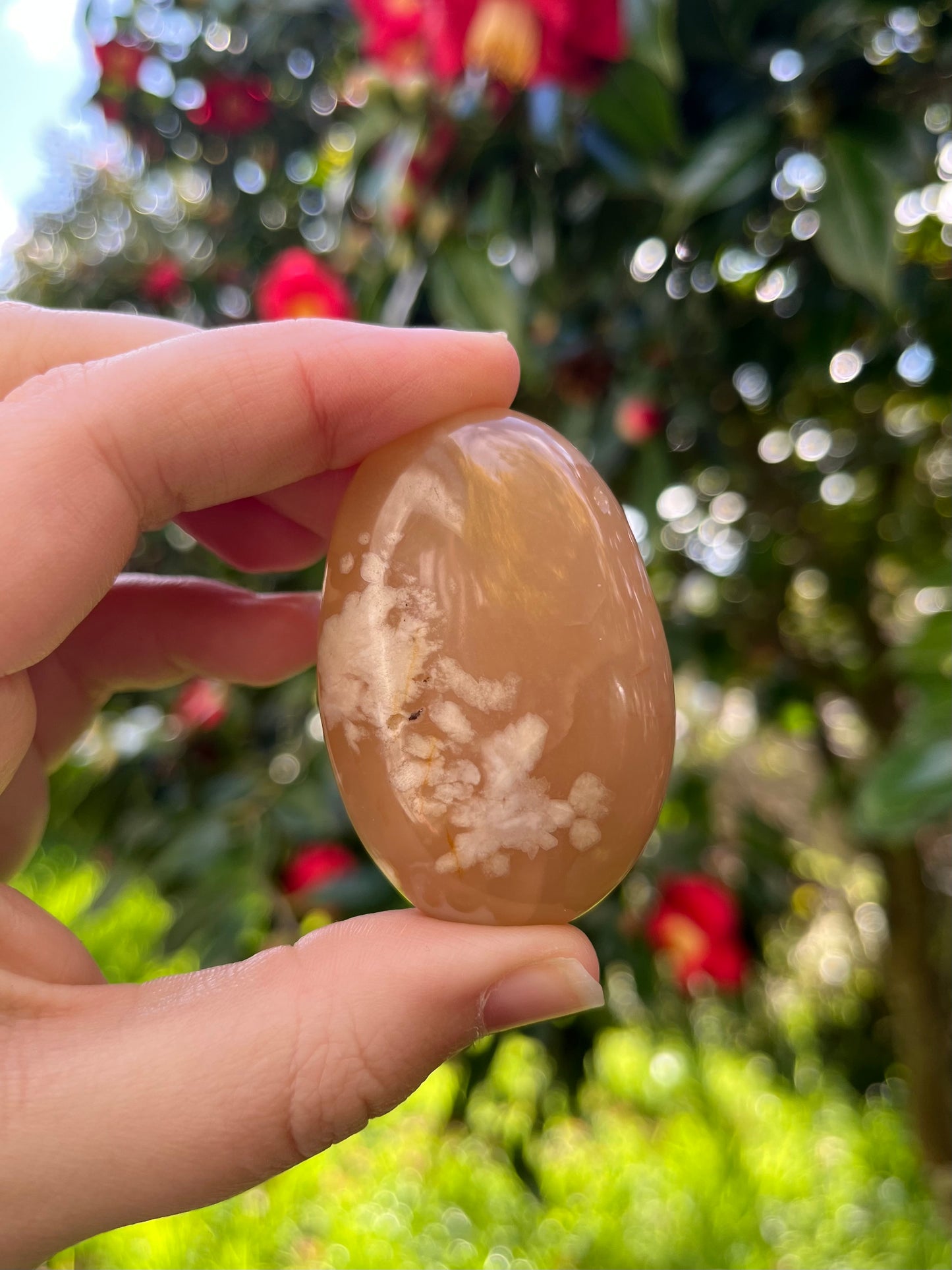 Flower Agate Palm Stone #1
