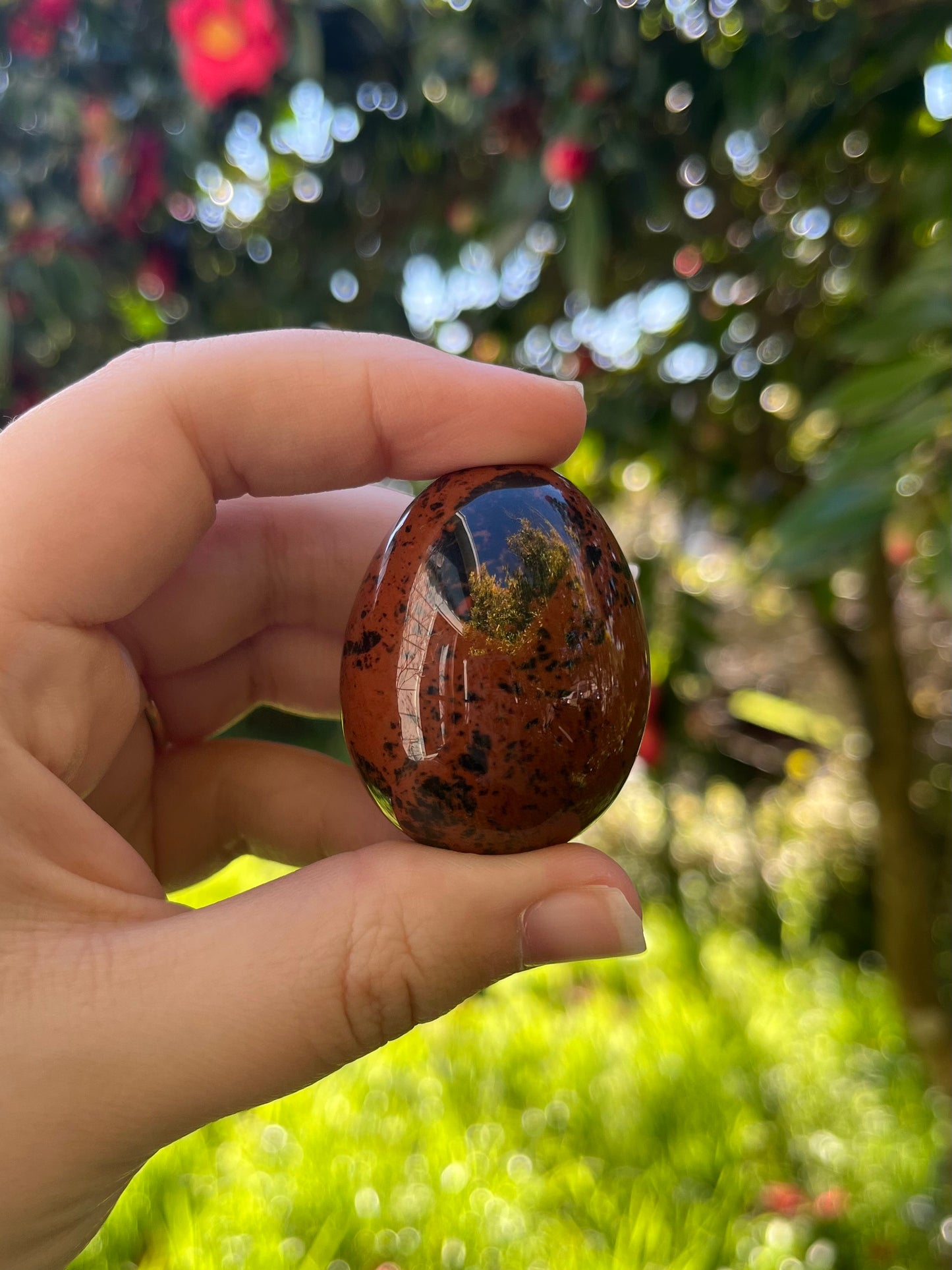Mahogany Obsidian Egg